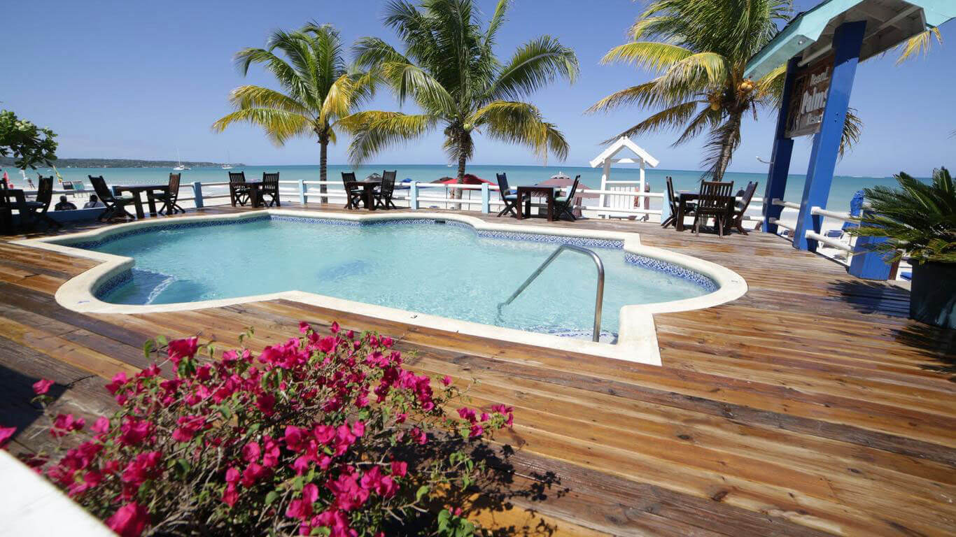 Negril palms