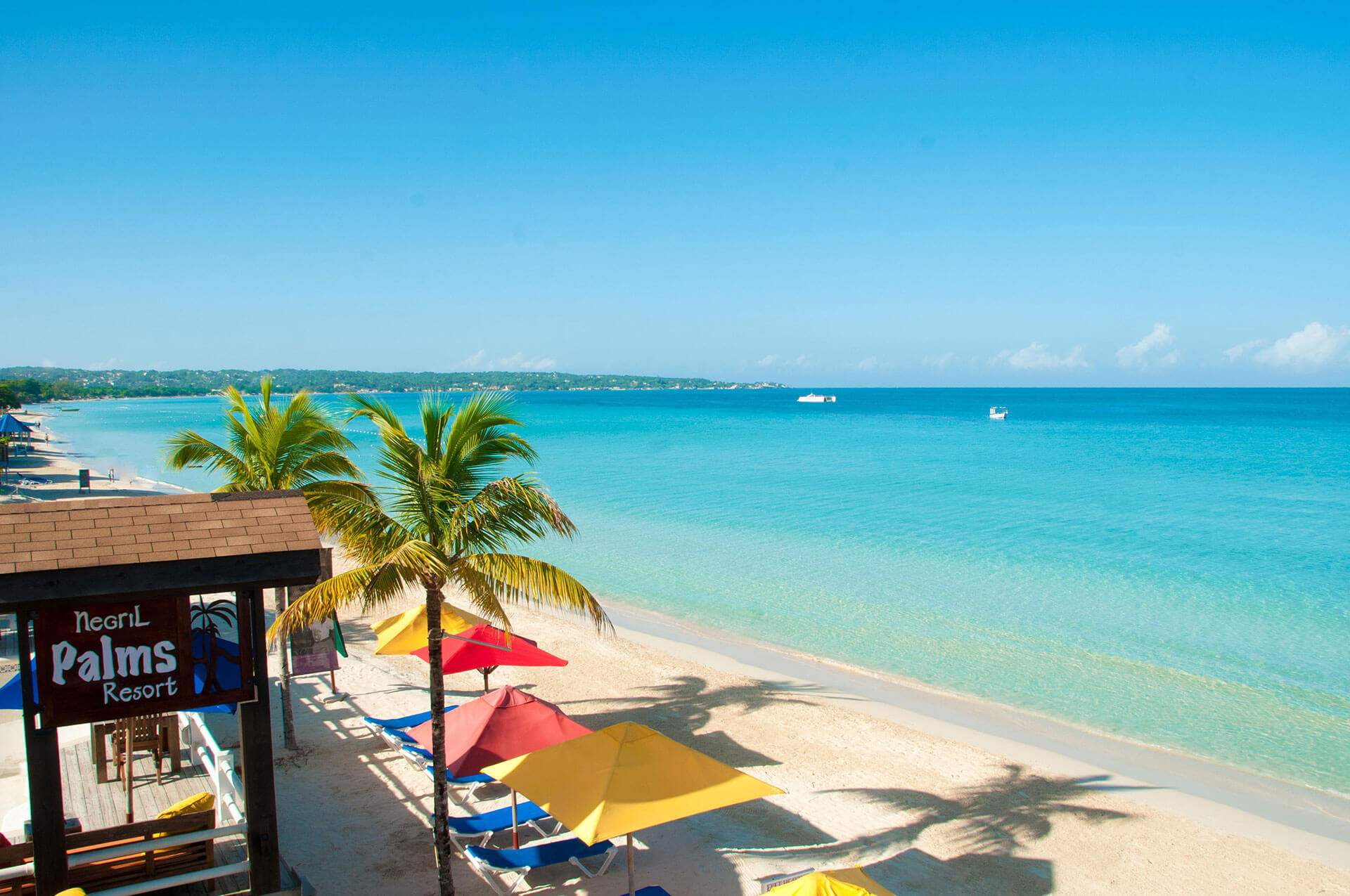 Negril palms