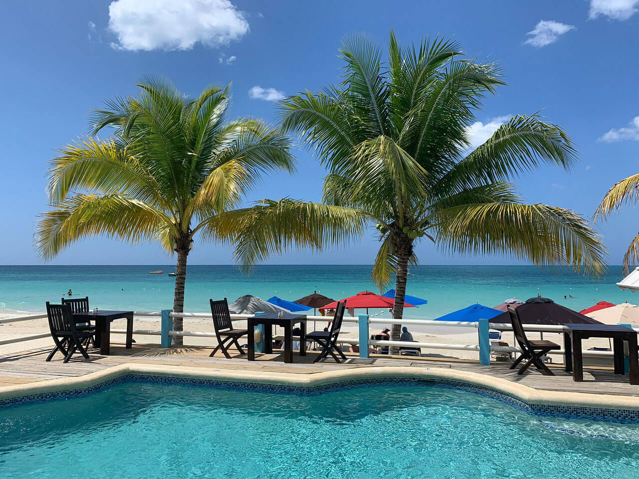 Negril palms